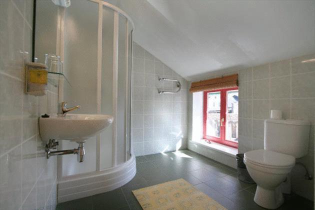 Raibie Logi Ventspils Quarto foto